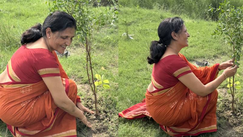Tree Plantation Drive 2026